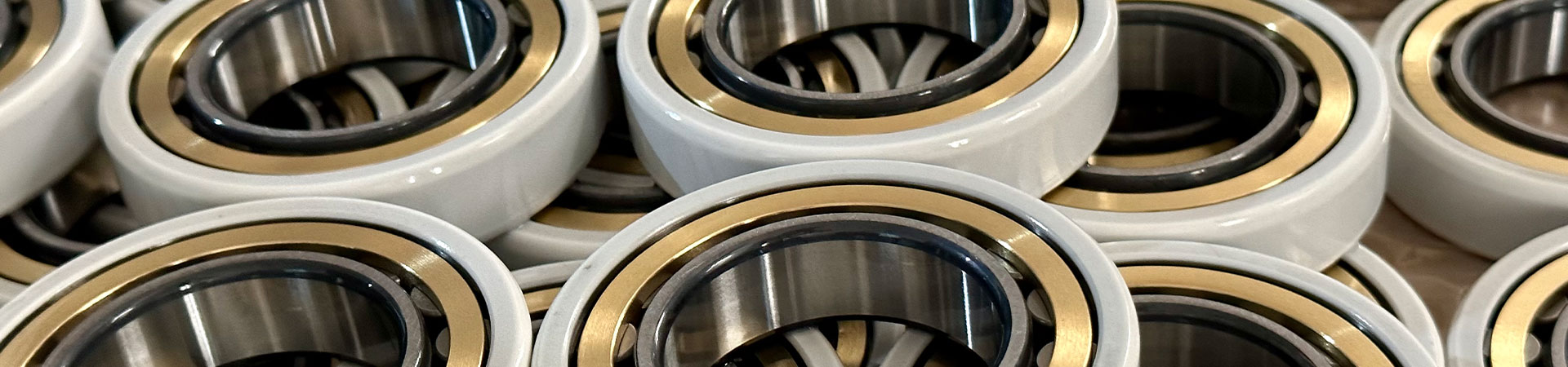 Cylindrical roller bearing